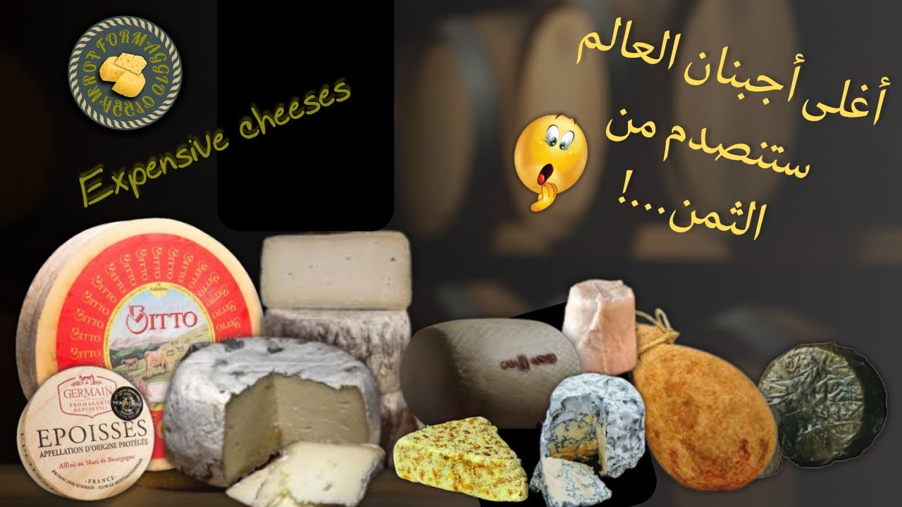 أغلى 10 انواع جبن في العالم #كيفية_صنع_الجبنة expensive_cheeses  #cheesse#