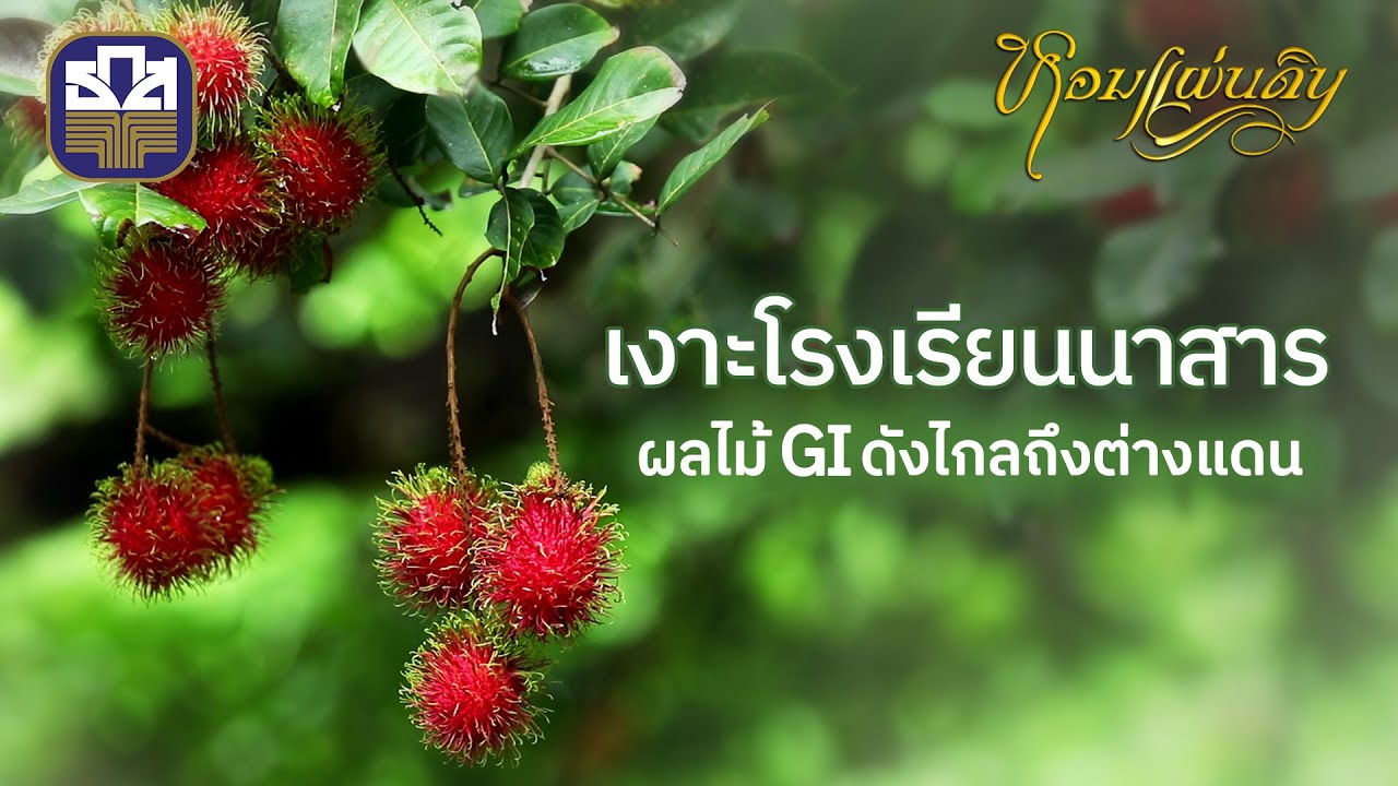 [Full] หอมแผ่นดิน 2567 I EP. 06 เงาะโรงเรียนแห่งชีวิต