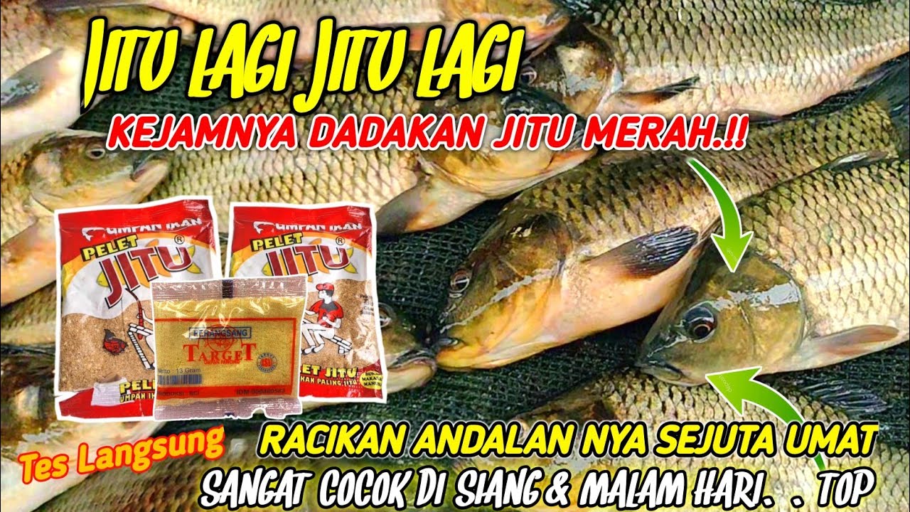 KEJAMNYA RESEP UMPAN DADAKAN PELET JITU‼️UMPAN JITU MANCING IKAN MAS LOMBA