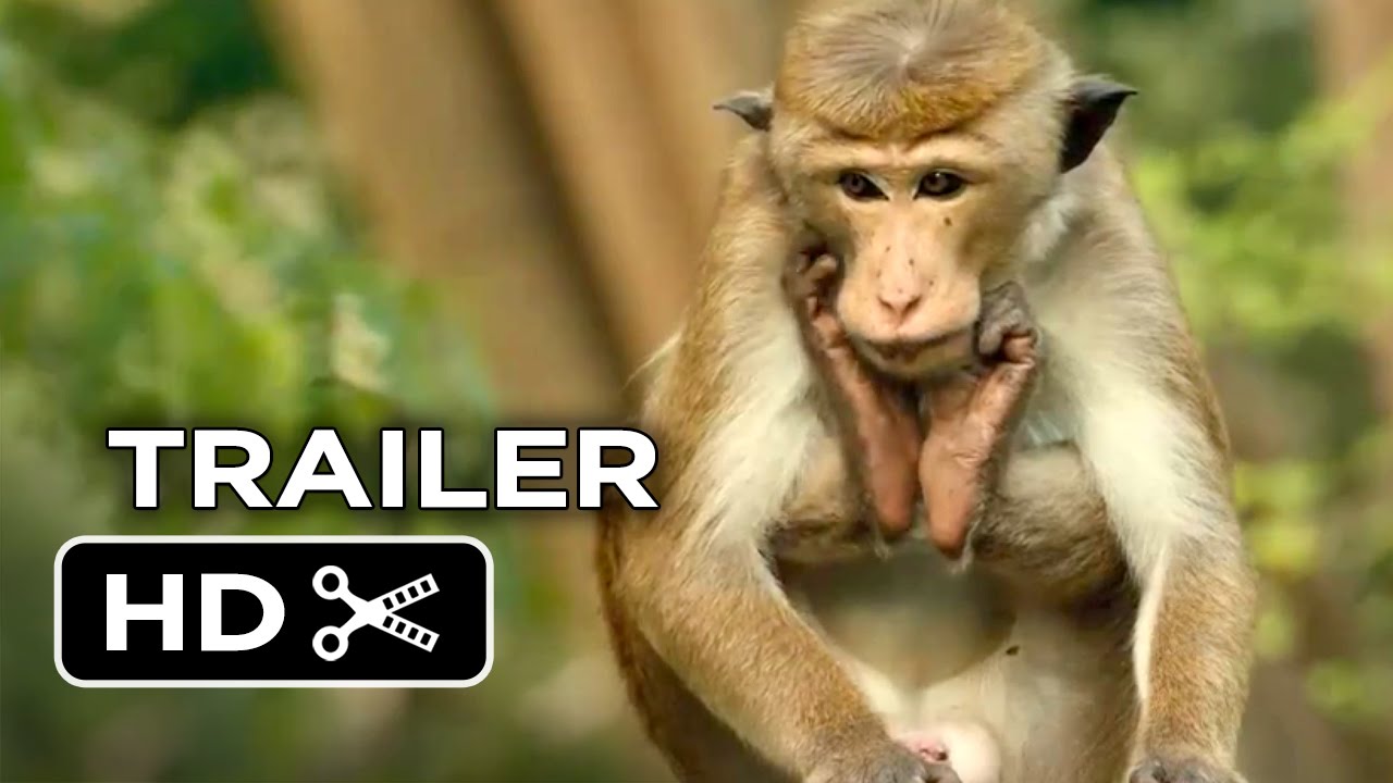 Monkey Kingdom TRAILER 1 (2015) - Disneynature Documentary HD