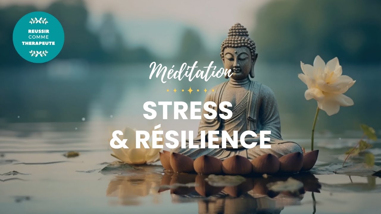 Méditation spéciale Thérapeutes - Stress et Résilience
