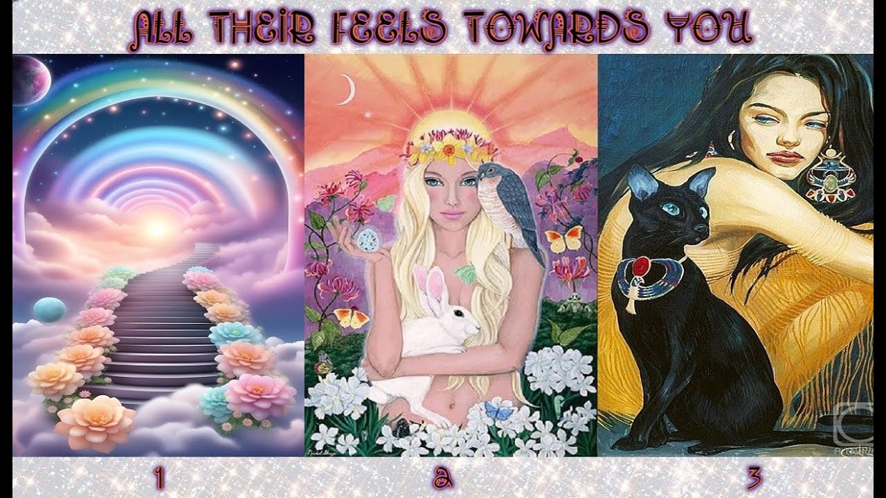 ❤️❤️HOW DO THEY FEEL ABOUT YOU❤️❤️TAROT PICK A CARD✨