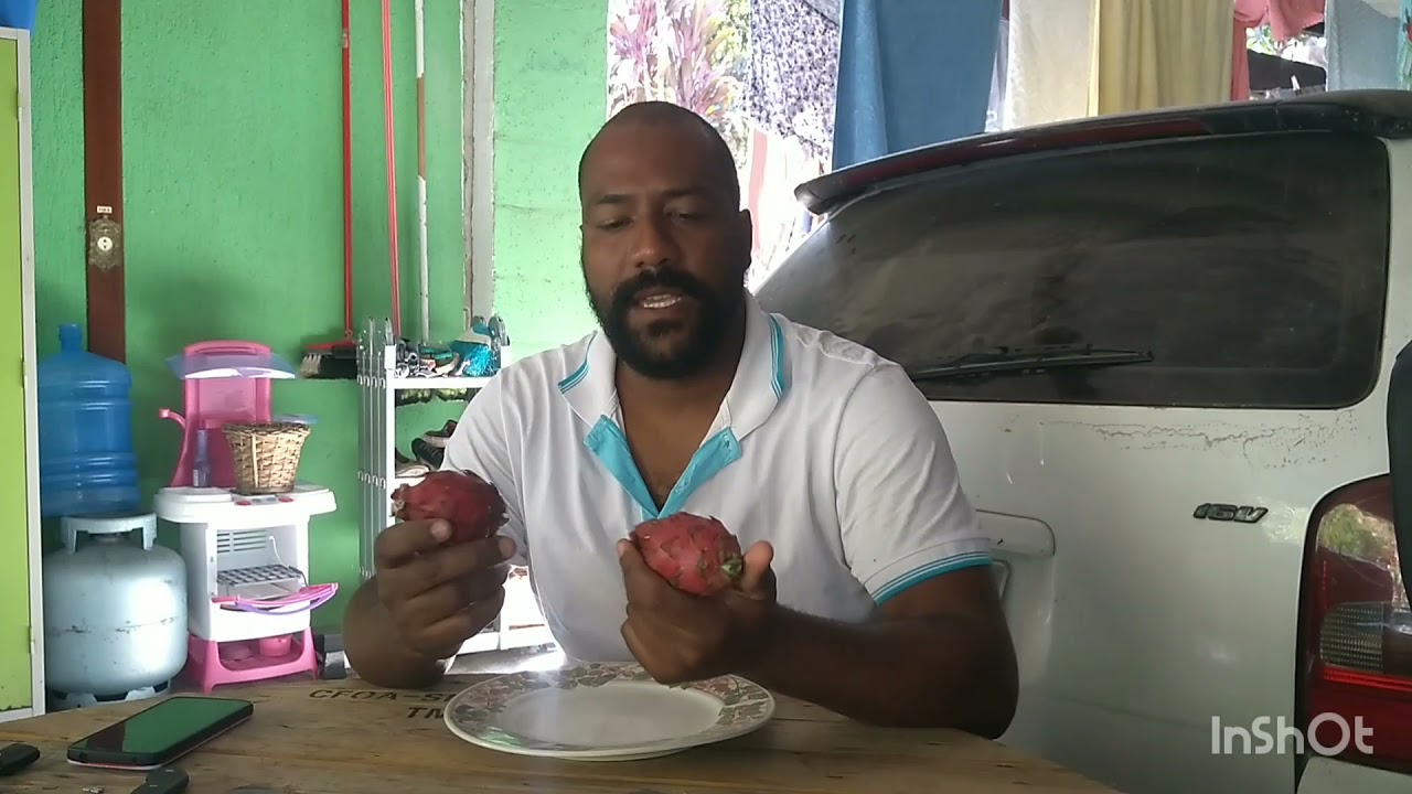 Pitaya Variedade Child Voodoo!!! Teste 1