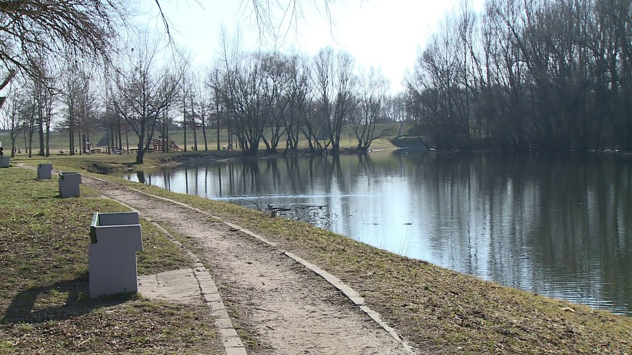 Zalai pontyok a holtágba