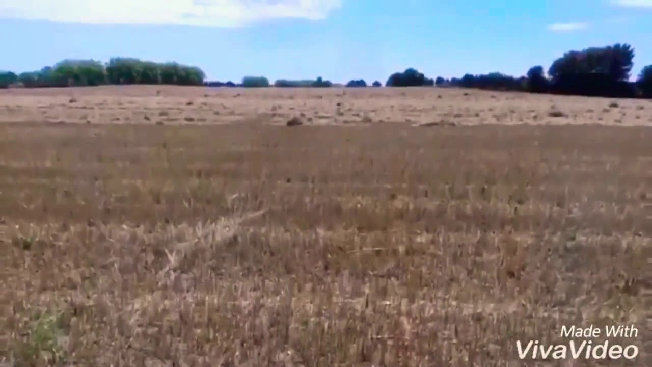 PLAN DE DRONE (1080p)