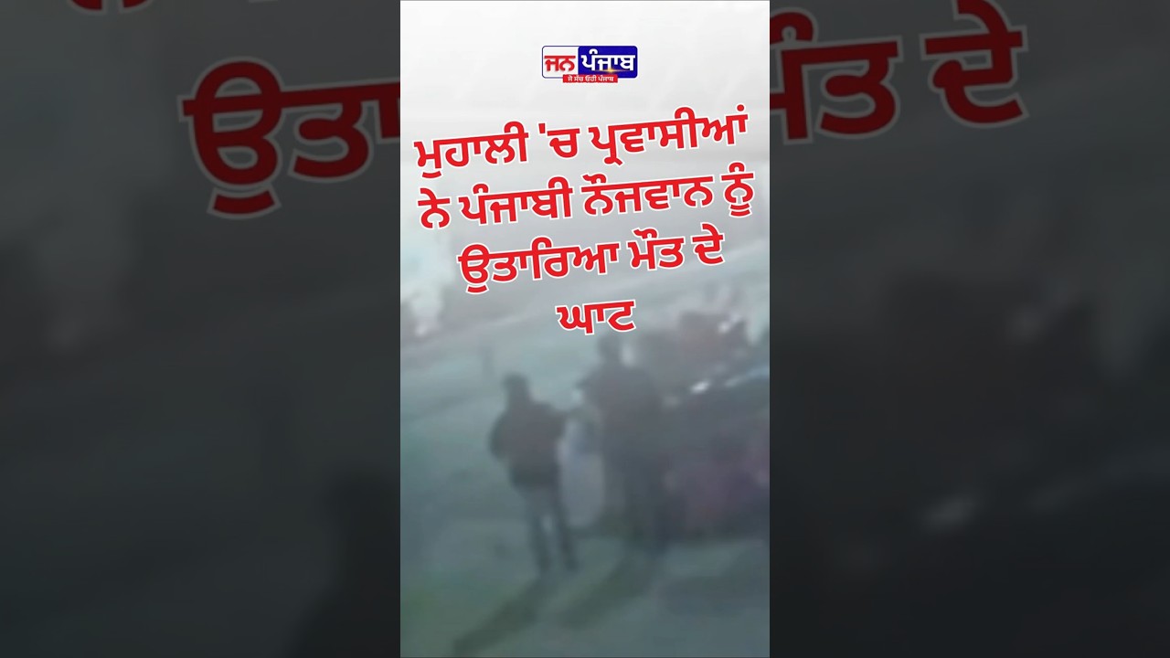 Mohali Murder News | Phase 11 'ਚ Punjabi Youth Gurusewak Singh Stabbed to Death