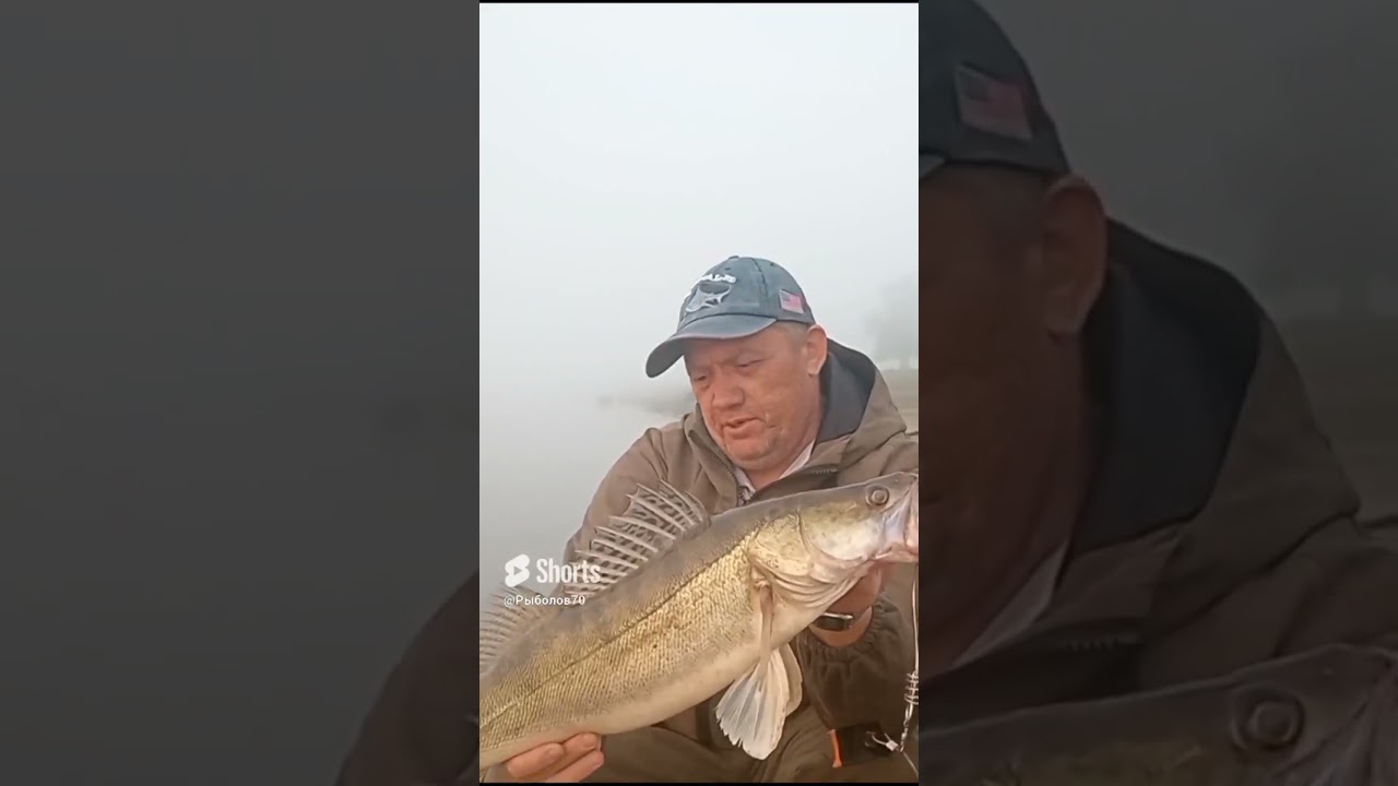 САМЫЙ ПРОВЕРЕННЫЙ СПОСОБ ЛОВЛИ СУДАКА