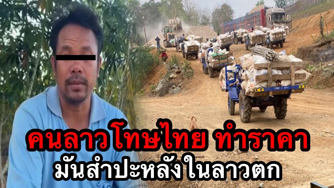 คนไทยตอกกลับคนลาว ที่คิดว่ามันสำปะหลังราคาตกเพราะไทยกดราคา