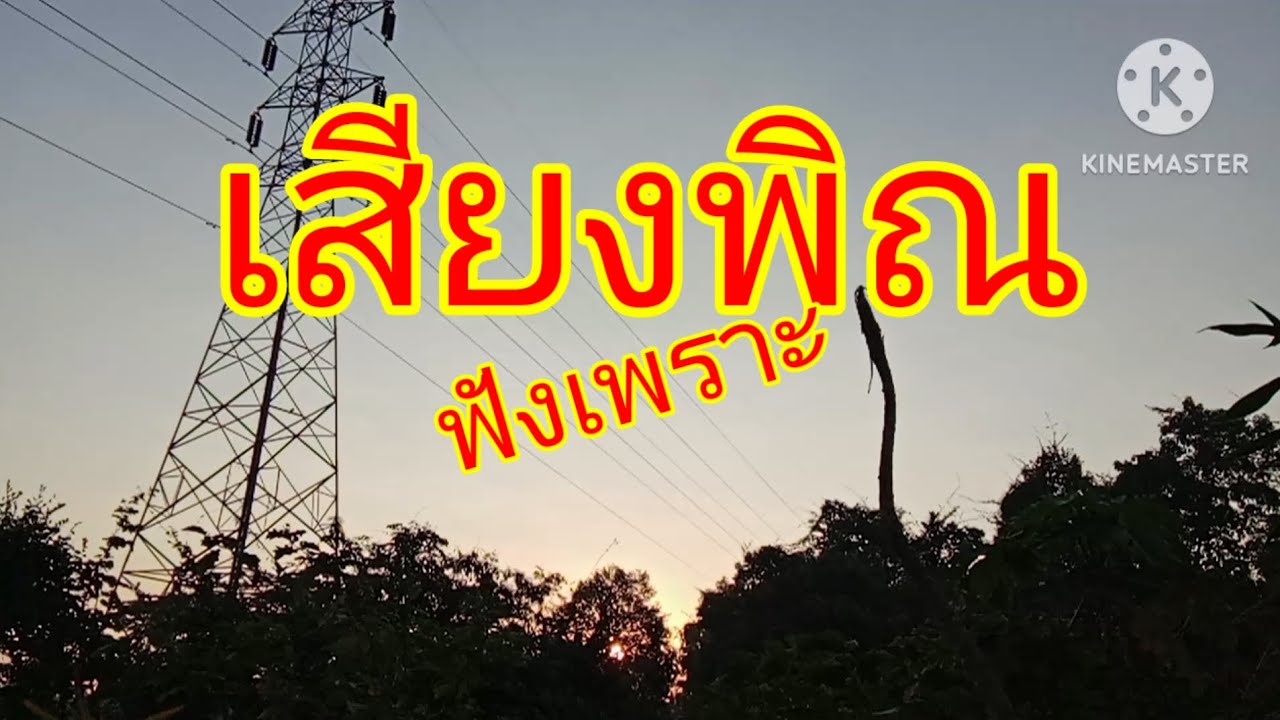 เสียงพิณฟังเพราะเปิดดังๆแบ่งปันความสุข