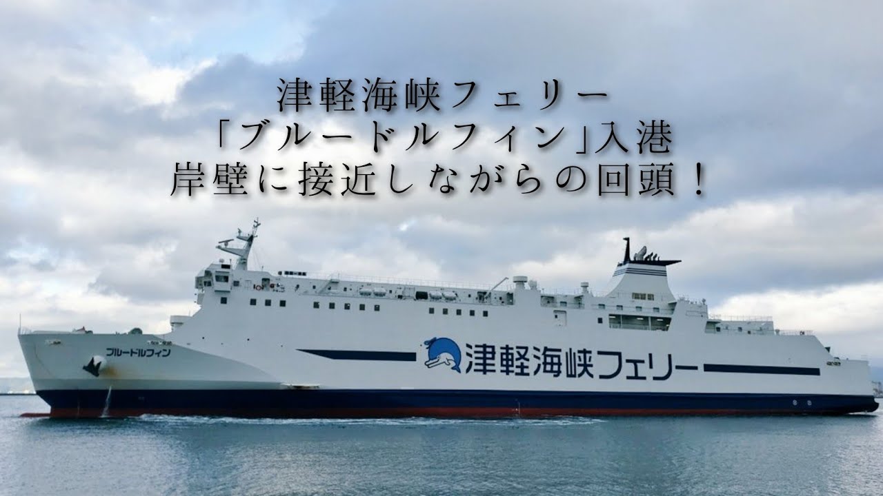 津軽海峡フェリー｢ブルードルフィン｣青森港入港（下船BGM付）