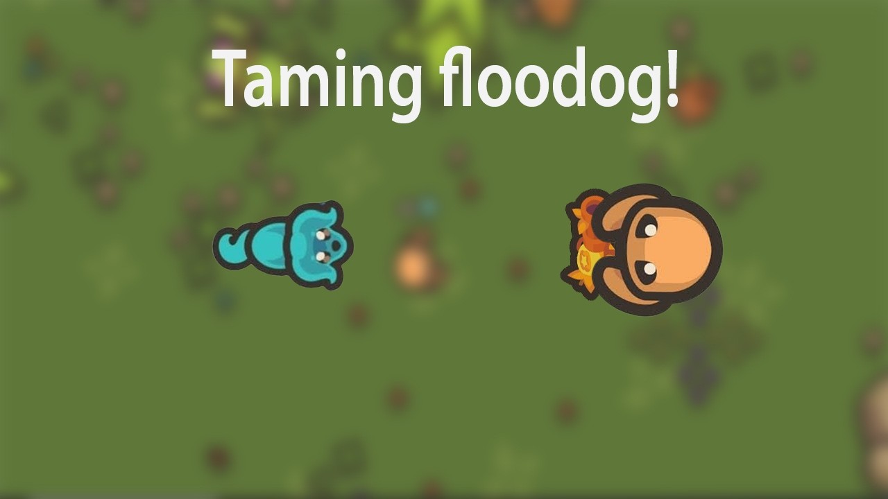 taming.io how to tame floodog tuitorial #tamingio #video