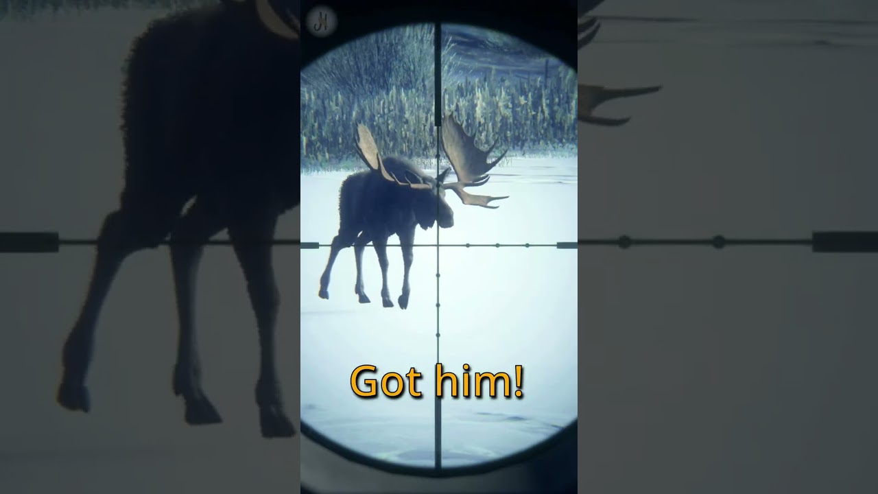 THE BEST WEAPON IN A BASE GAME?😲😲Wonky Moose funny shot with Magnum 7mm the Hunter Call of the Wild