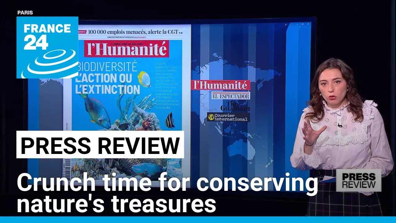 Crunch time for conserving nature's treasures as COP16 biodiversity summit kicks off • FRANCE 24