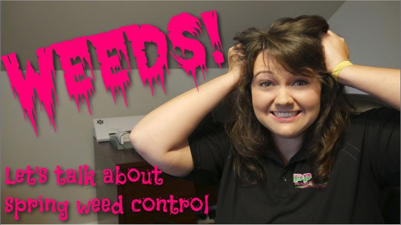 Spring Weed Control | PPLM | (804) 530-2540