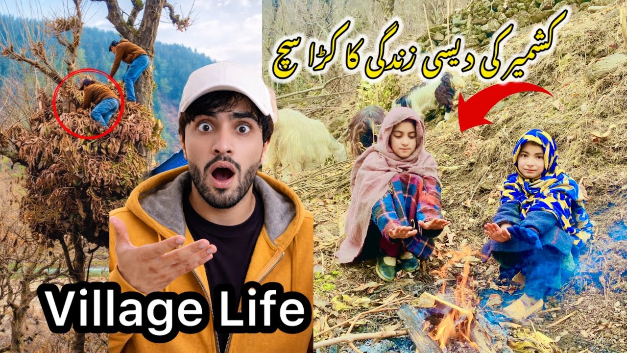 Village Life You’ve Never Seen Before 😱 Azhar vlogs 