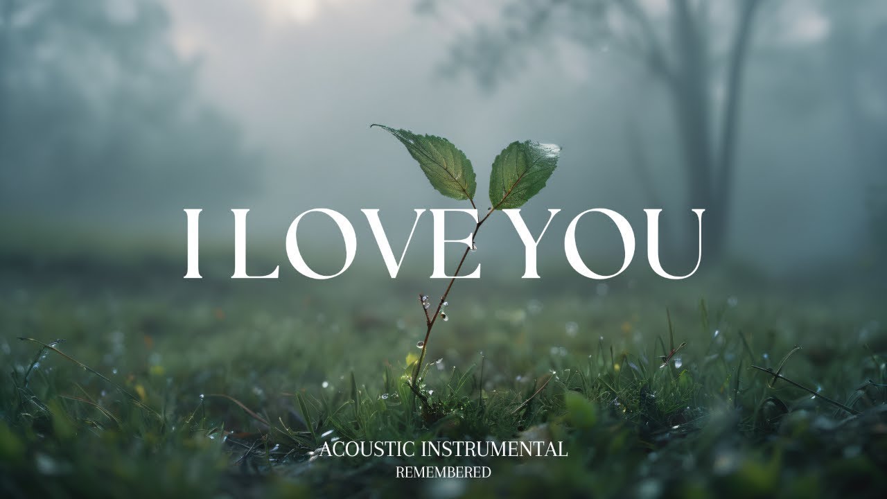Relaxing Guitar for Stress Relief, work and study | REMEMBERED