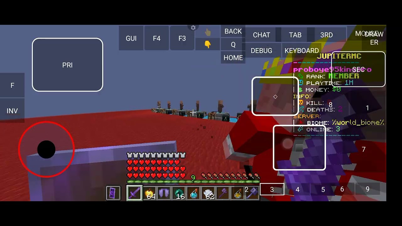 My friend smp