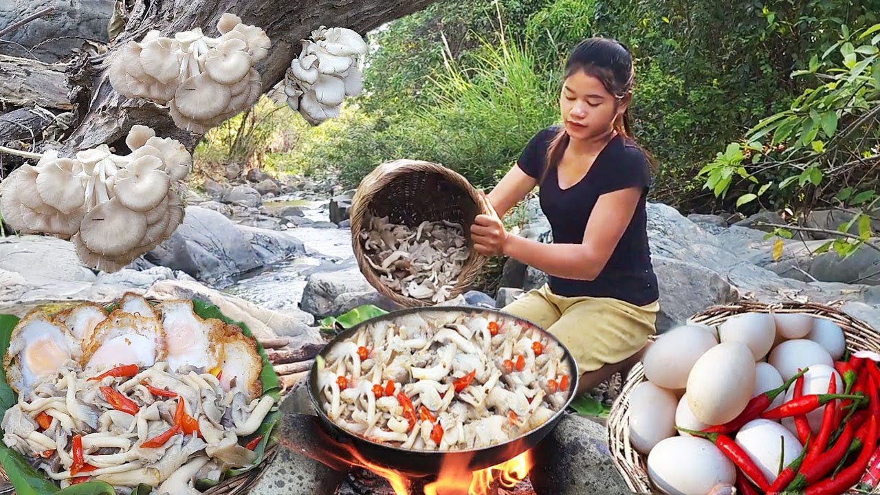 Cooking mushroom spicy and egg with wild recipe for dinner