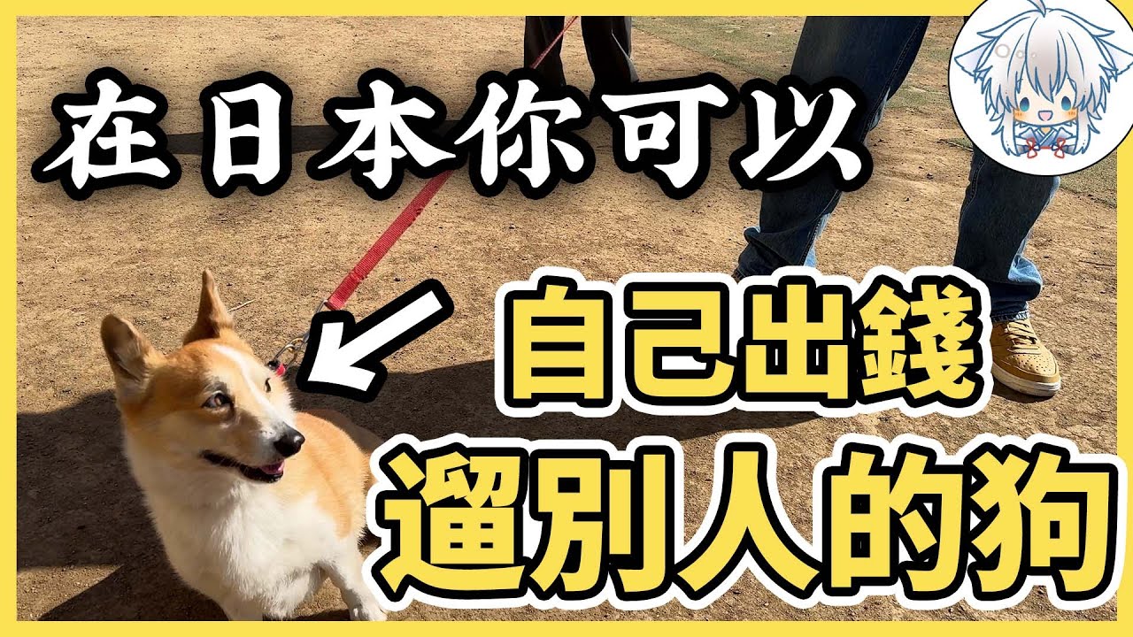 竟然是約會勝地，日本的牧場究竟有多好玩？！