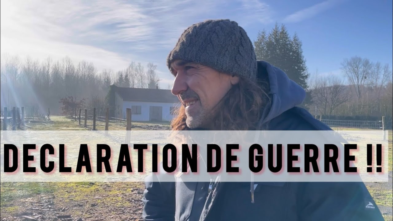 Patte de loup - on entre en guerre !!