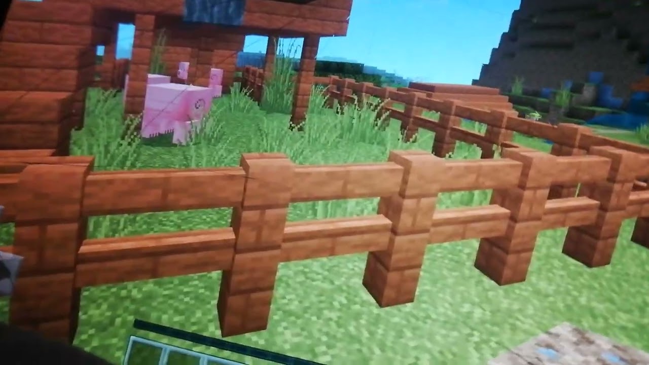 Mınecraft oynuyoruz