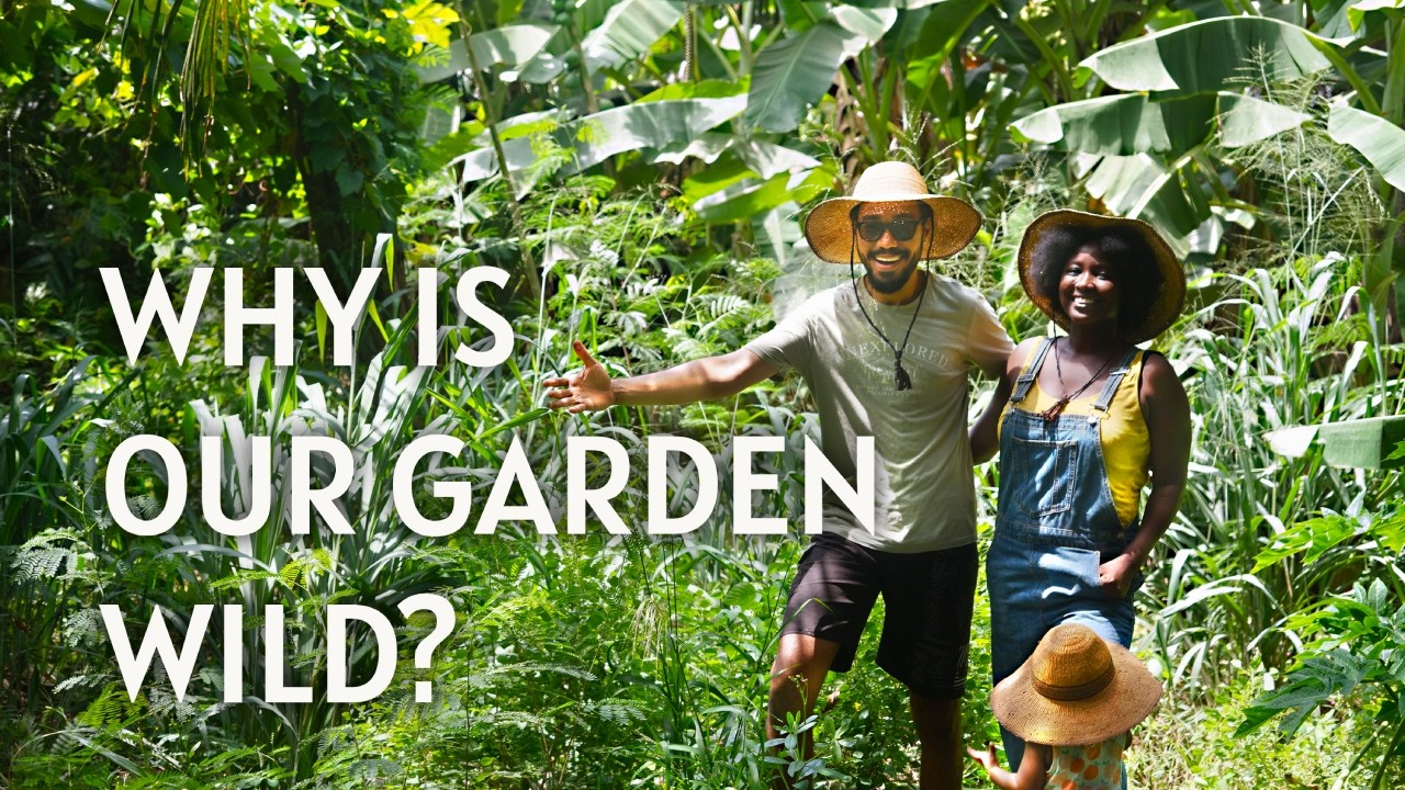 We Survived 4 Months of Dry Season & Let Our Garden Go Wild...Here's Why!