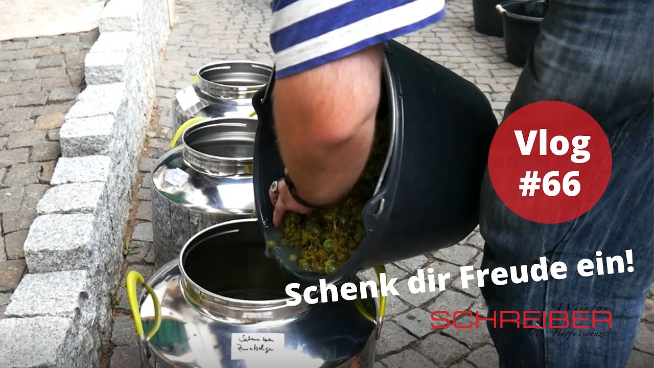Die Wilden Kerle - Schenk dir Freude ein! Vlog #66