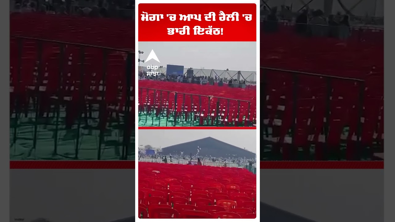 Moga 'ਚ AAP ਦੀ ਰੈਲੀ 'ਚ ਭਾਰੀ ਇਕੱਠ! | Cm Bhagwant Mann  Moga Rally | Abp Sanjha | Shorts