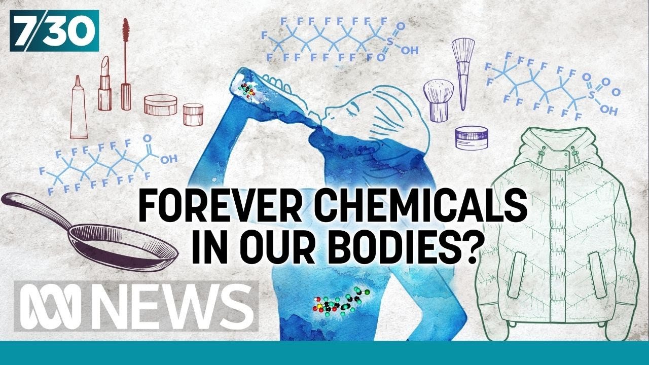 Concerns about potential health impacts from 'forever chemicals' PFAS | 7.30