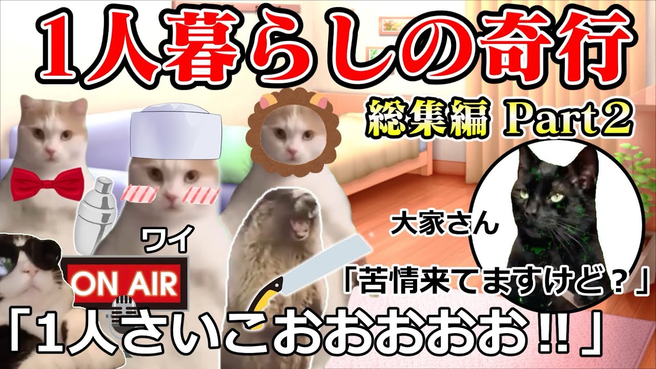 【総集編】一人暮らしの奇行シリーズまとめてみたPart6〜10 