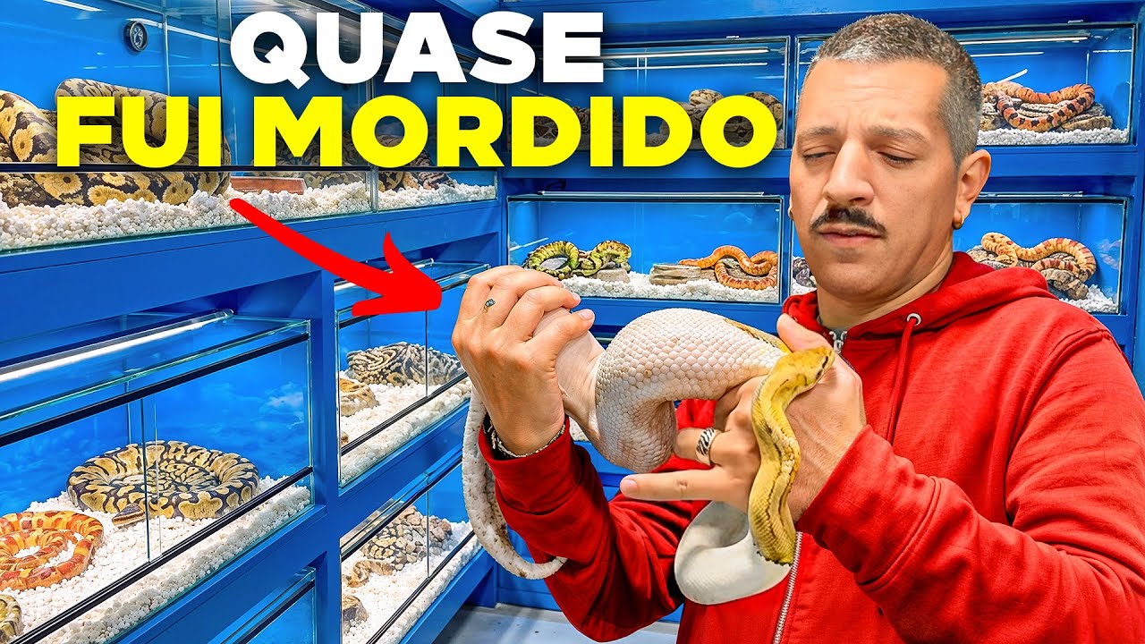VISITEI UM CRIADOR DE COBRAS E QUASE FUI MORDIDO! EUAKSOU SELVAGEM