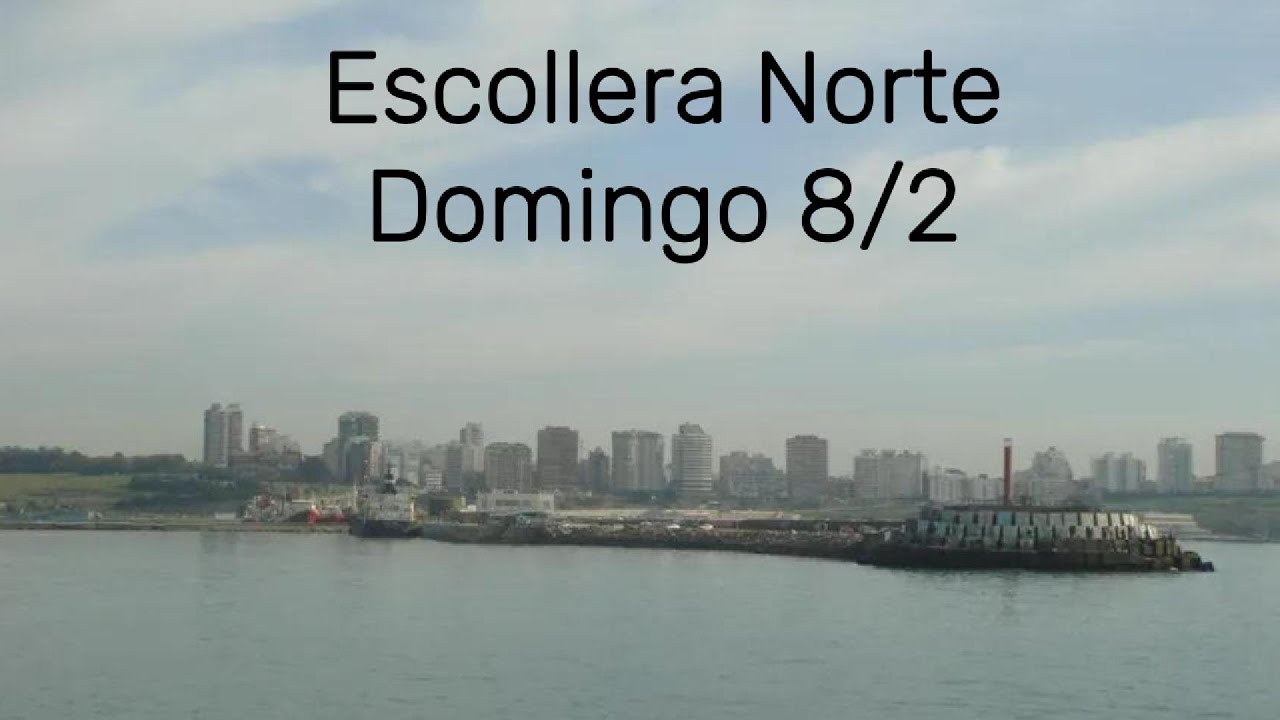 Pesca de domingo 8/2 en Escollera Norte (Mar del Plata)