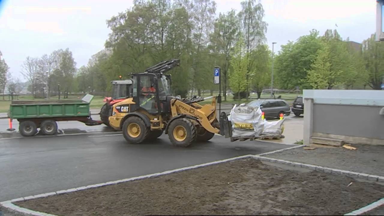 Mitt yrke - Anleggsgartner