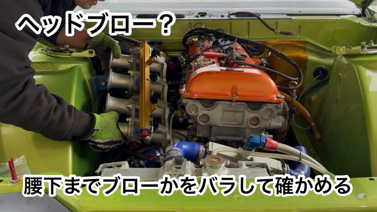 ヘッドブローなのか？腰下までブローなのか？バラして確認してみた🐸