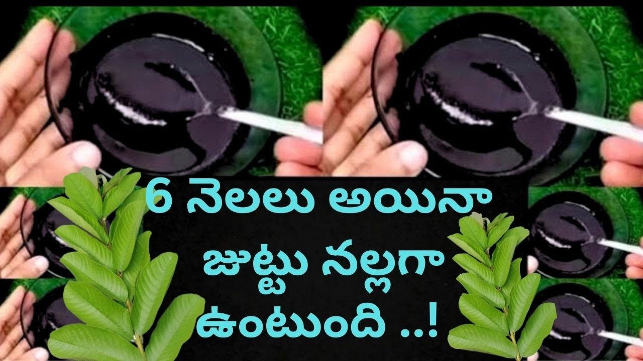 Даже через 6 месяцев 🌱👌 волосы останутся черными..! Достаточно всего одного применения 💯 хны для ...