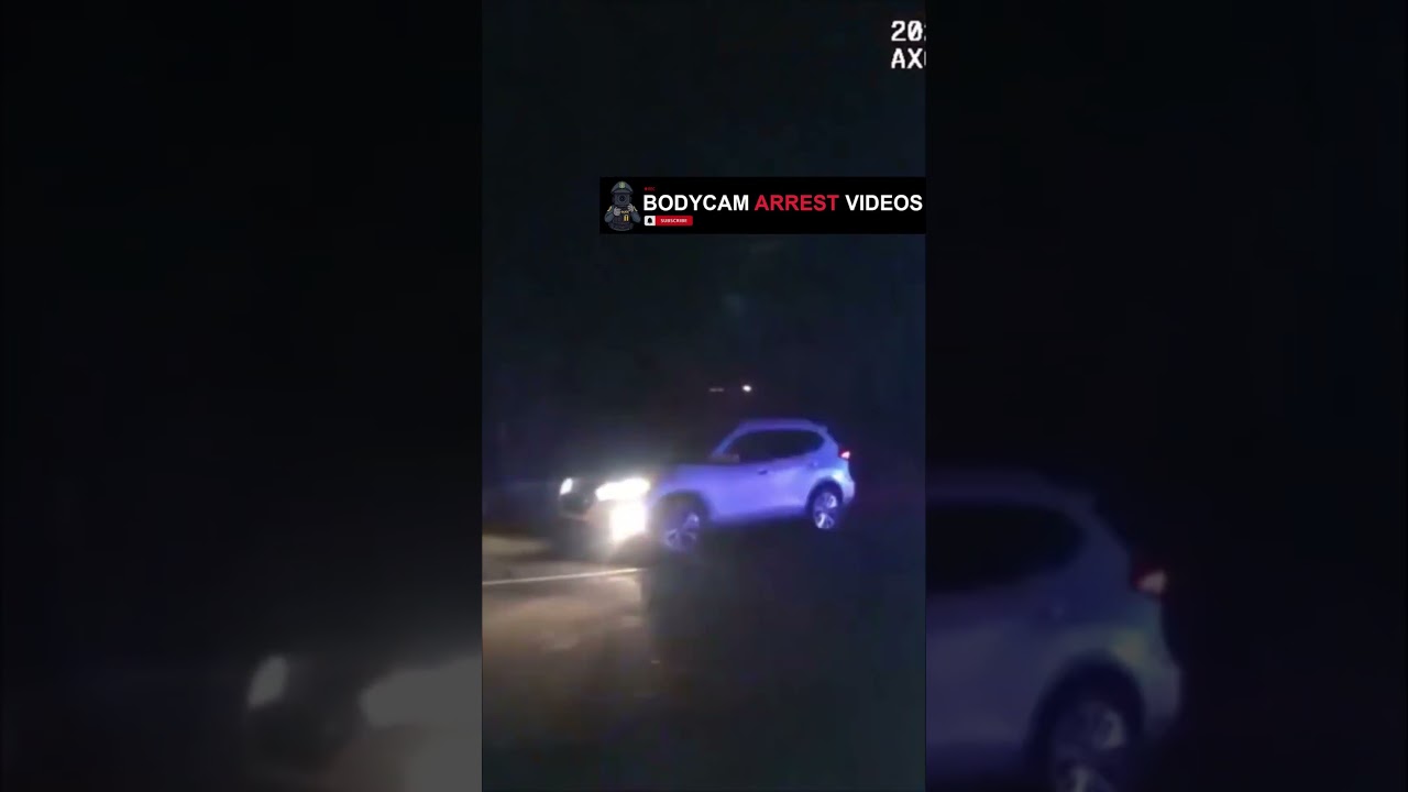 Officer keeps calm while the driver panics