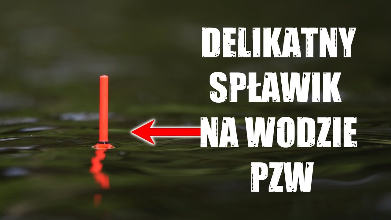 PŁOCIOWE ELDORADO czyli DELIKATNY SPŁAWIK na PZW