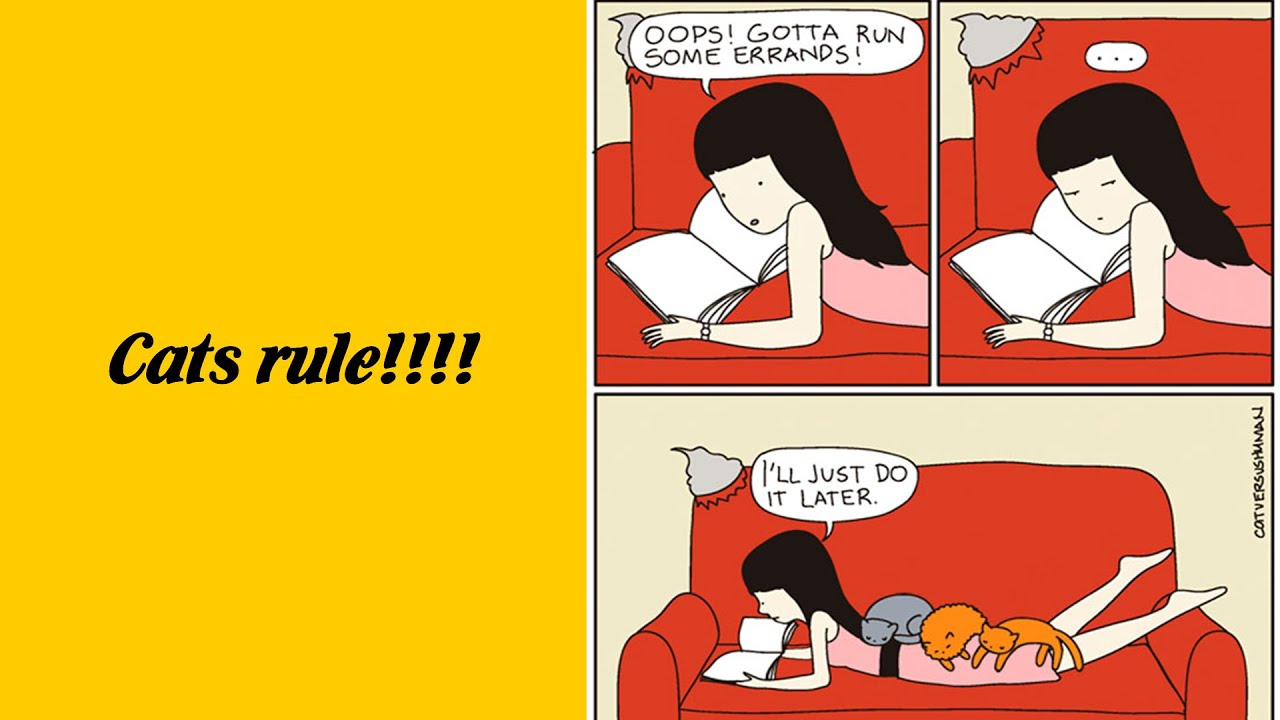 50 Hilarious Comics That Perfectly Capture Life With Cats - Funny cat