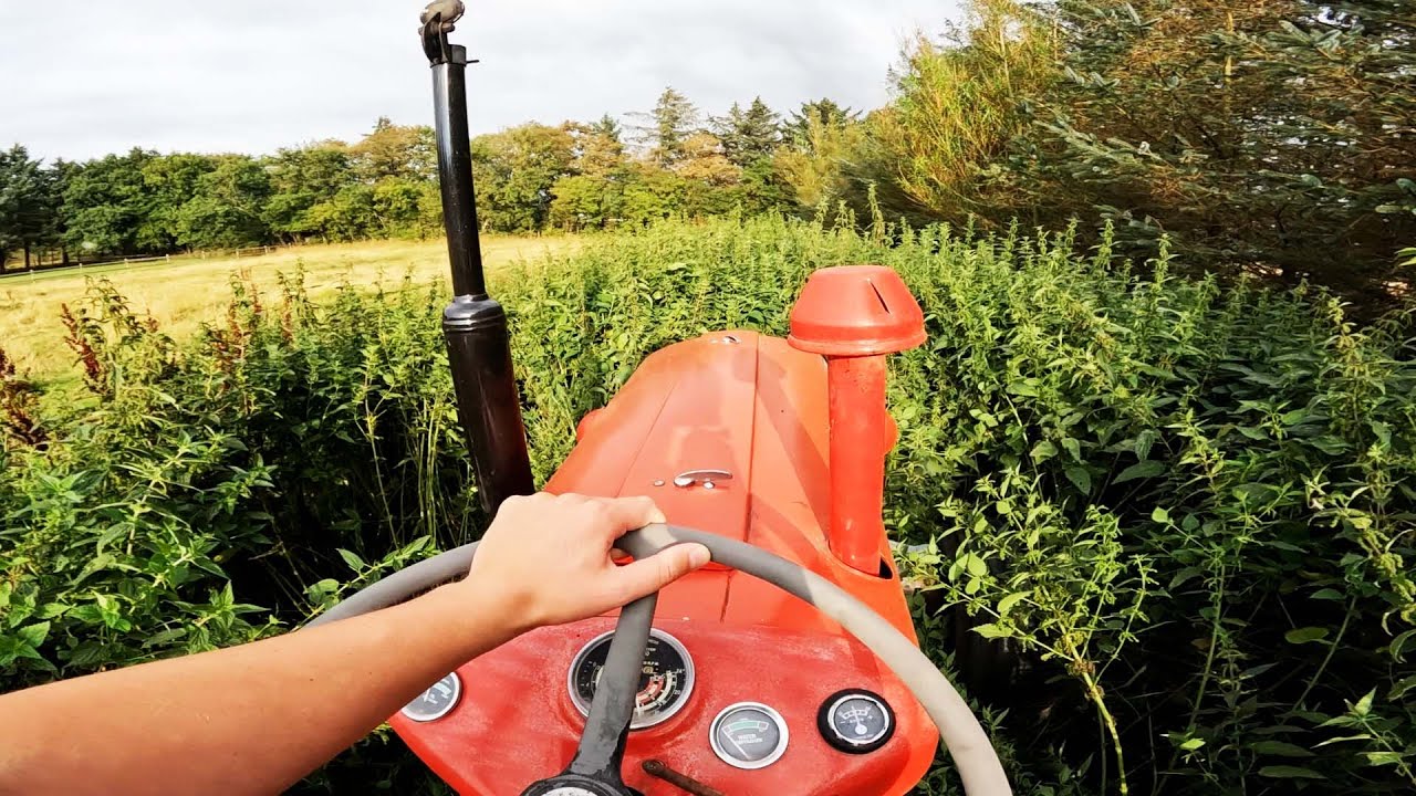 Massey Ferguson 35X w/ Multi-Power on duty during the 2022 Season | Old Machinery