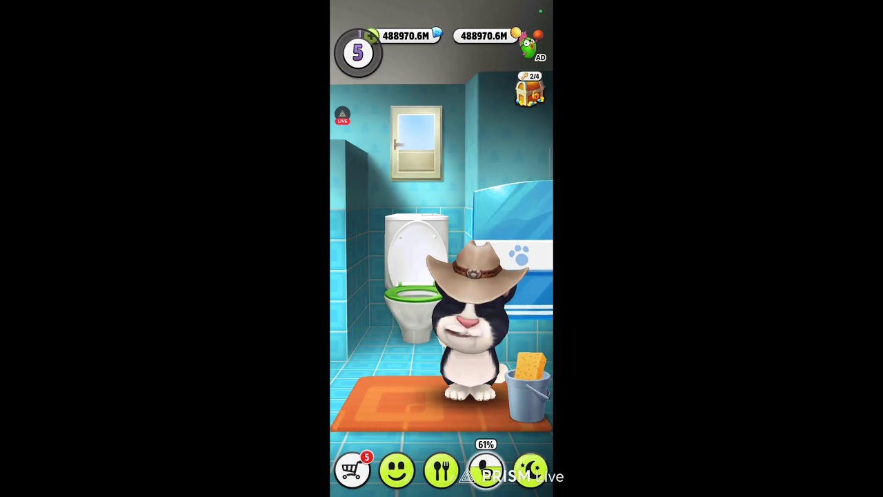 Talking cat live