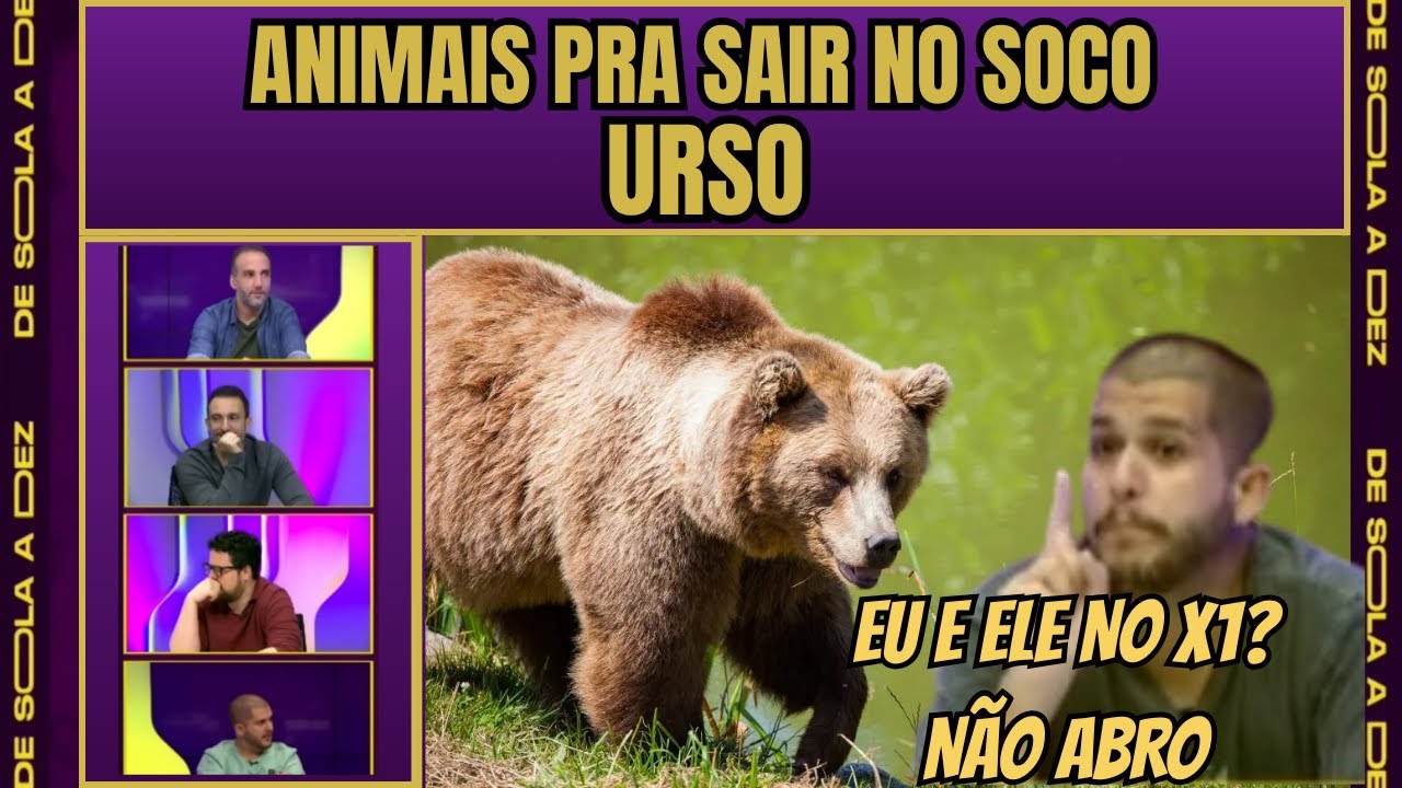 ANIMAIS PRA SAIR NO SOCO - URSO
