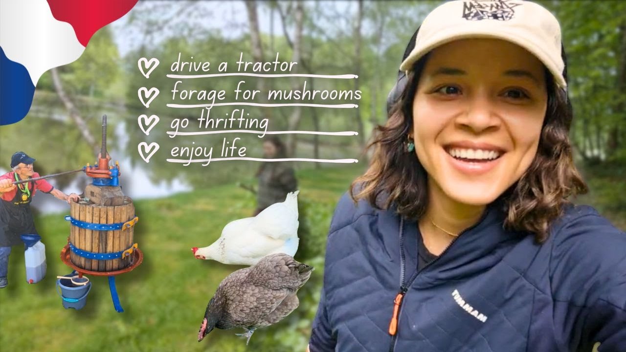 spend a few days with me in a french BnB 🏡 thrift finds, farmers market, feeding horses 🐎