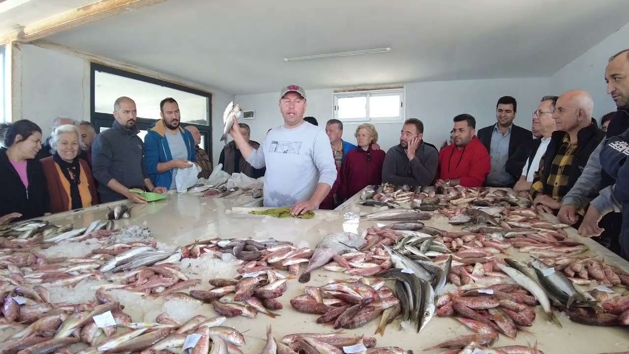Yok böyle bir mezat 🐟/ Bol çekişmeli Gümüldür Mezatımız #part3  #fish #fight