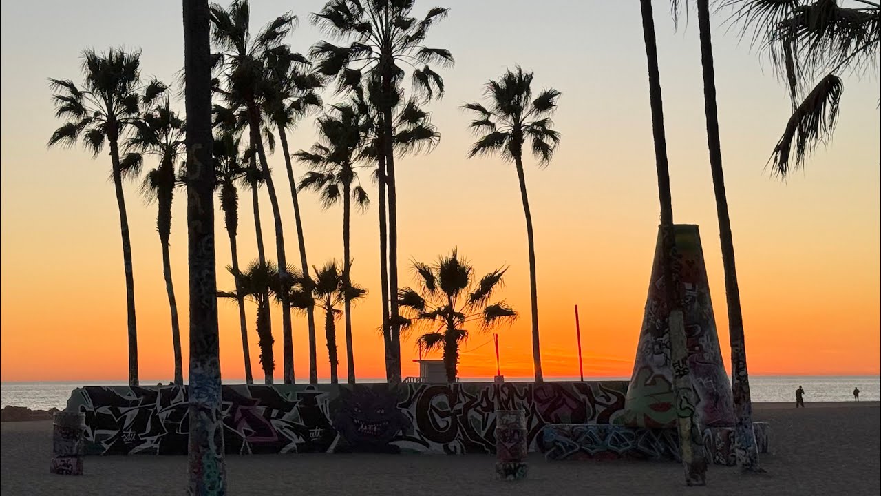 catch the sunset