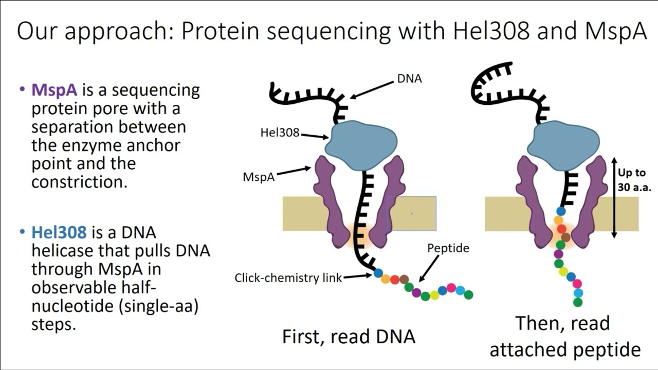Single-molecule protein reading at single-amino-acid resolution with nanopores | Henry Brinkerhoff