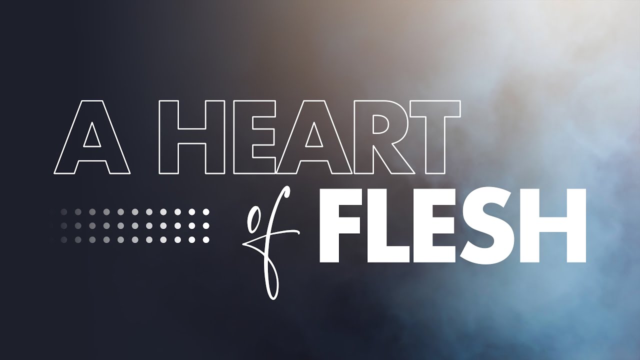 A Heart of Flesh | 9/12