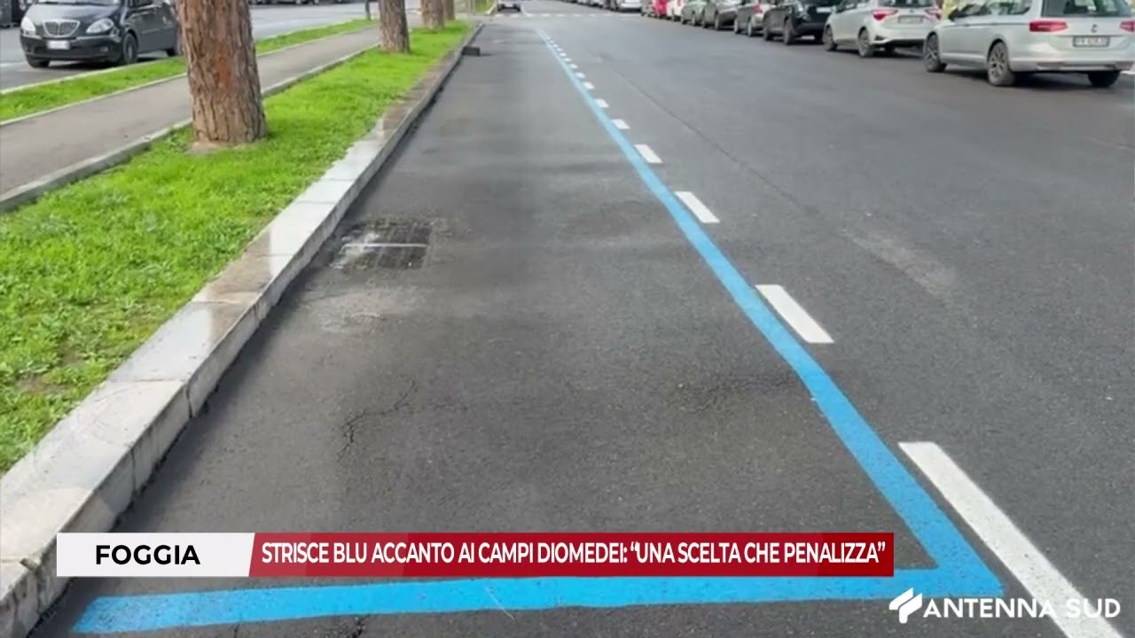 13 FEBBRAIO 2026 - FOGGIA, STRISCE BLU ACCANTO AI CAMPI DIOMEDEI: “UNA SCELTA CHE PENALIZZA”