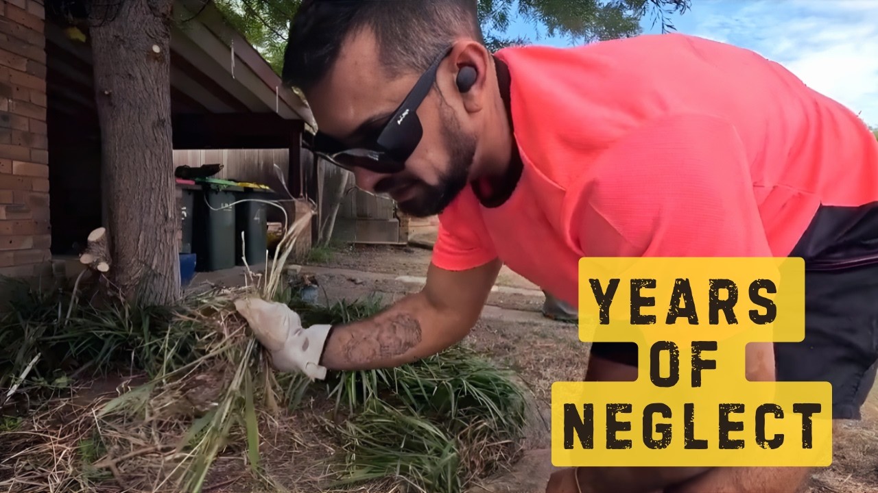 Years of Neglect&hellip; I Uncovered What Was Lost in This Overgrown Yard (Part 2 Transformation)