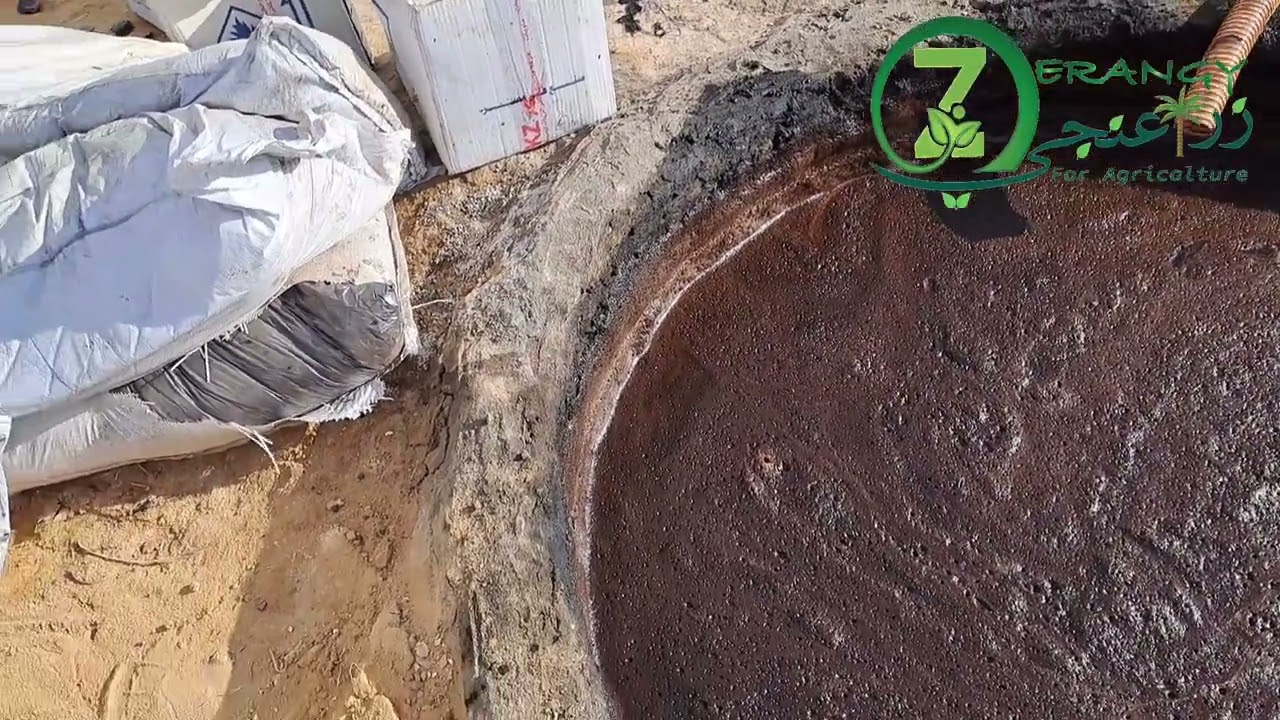 زراعة القمح| متابعة عملية التسميد بعد عمر ٣٠ يوم #زراعنجى 🌾