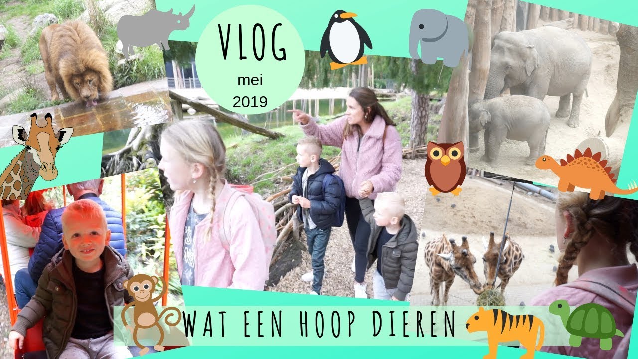 DIERENPARK AMERSFOORT - MET ONS GEZIN NAAR DE DIERENTUIN (mei 2019 daanliesenkids)